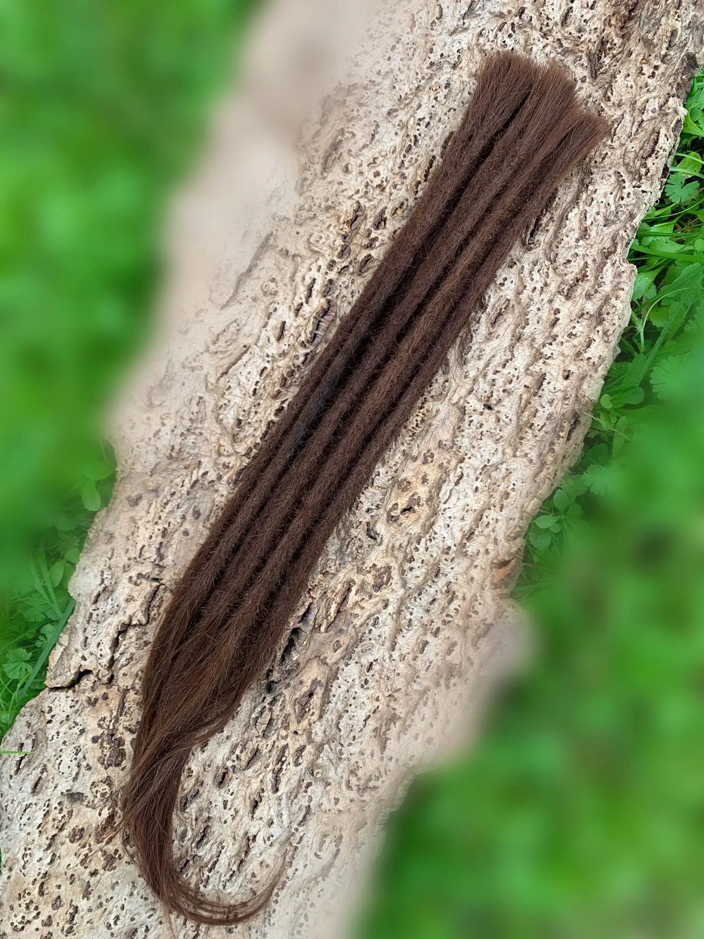 10 Europäische Echthaar Dreadlocks in Mittelbraun #6 DreadLocos Shop