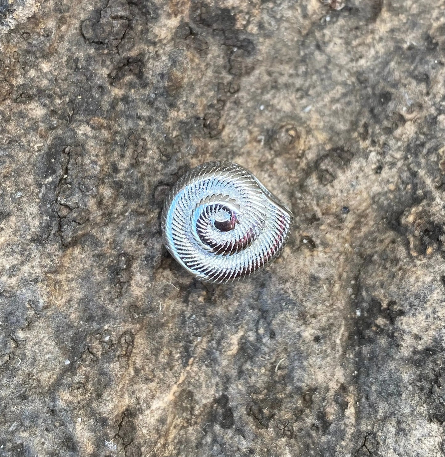 Nakimani Perlenmuschel aus 925er Sterling Silber DreadLocos Shop