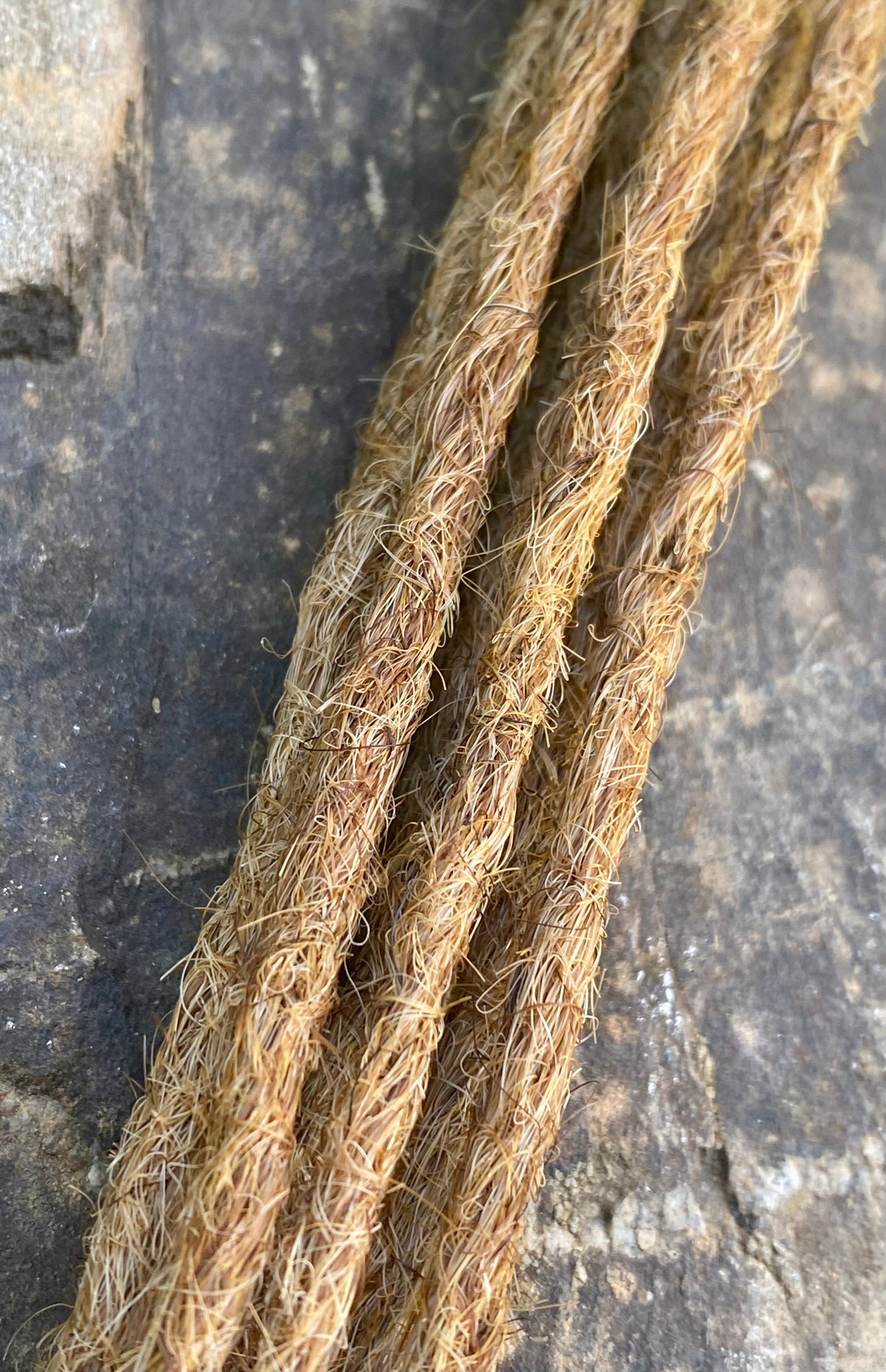 10 Europäische Echthaar Dreadlocks in Mittelgoldblond - DreadLocos Shop