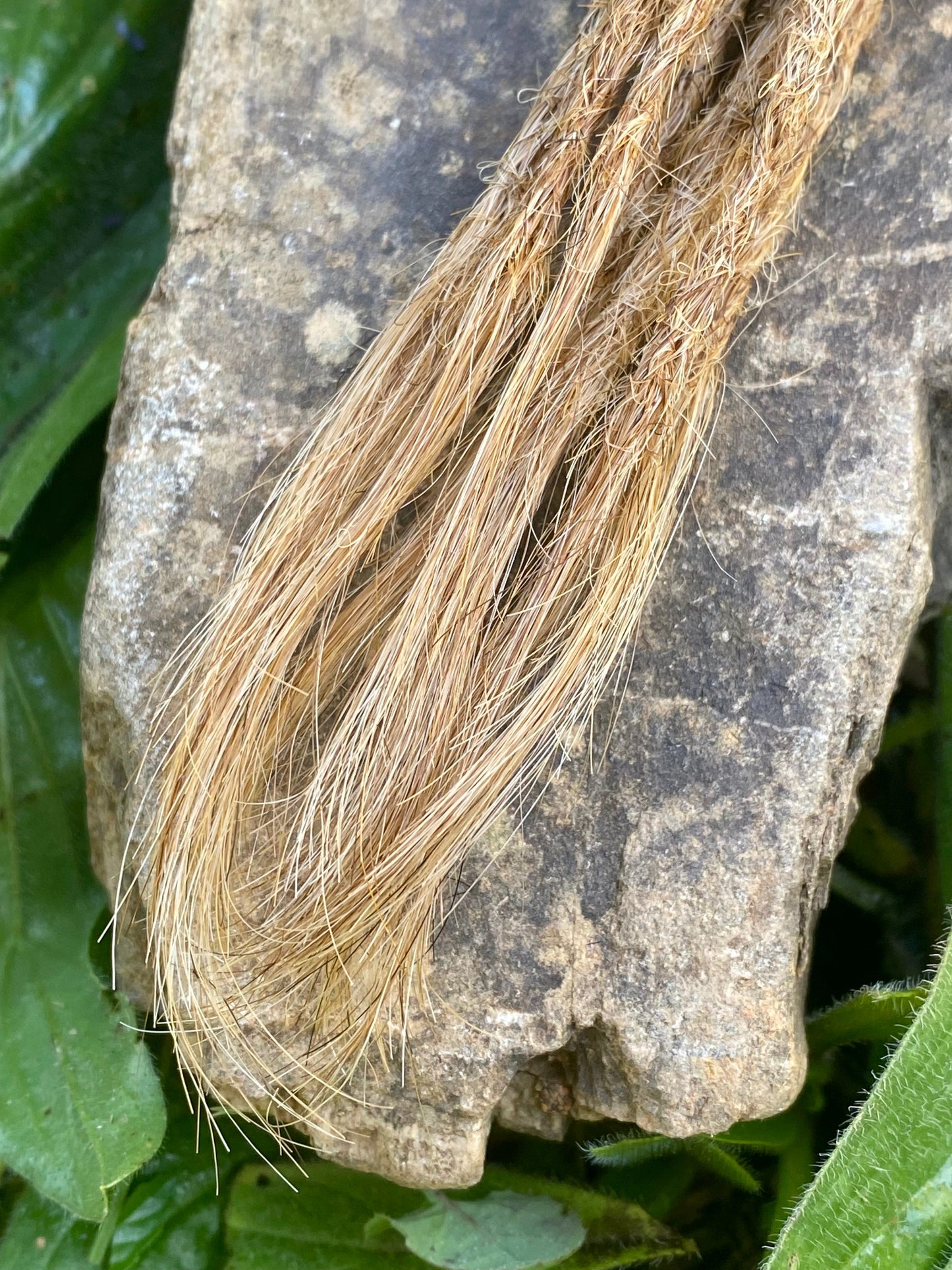 10 Europäische Echthaar Dreadlocks in Mittelgoldblond