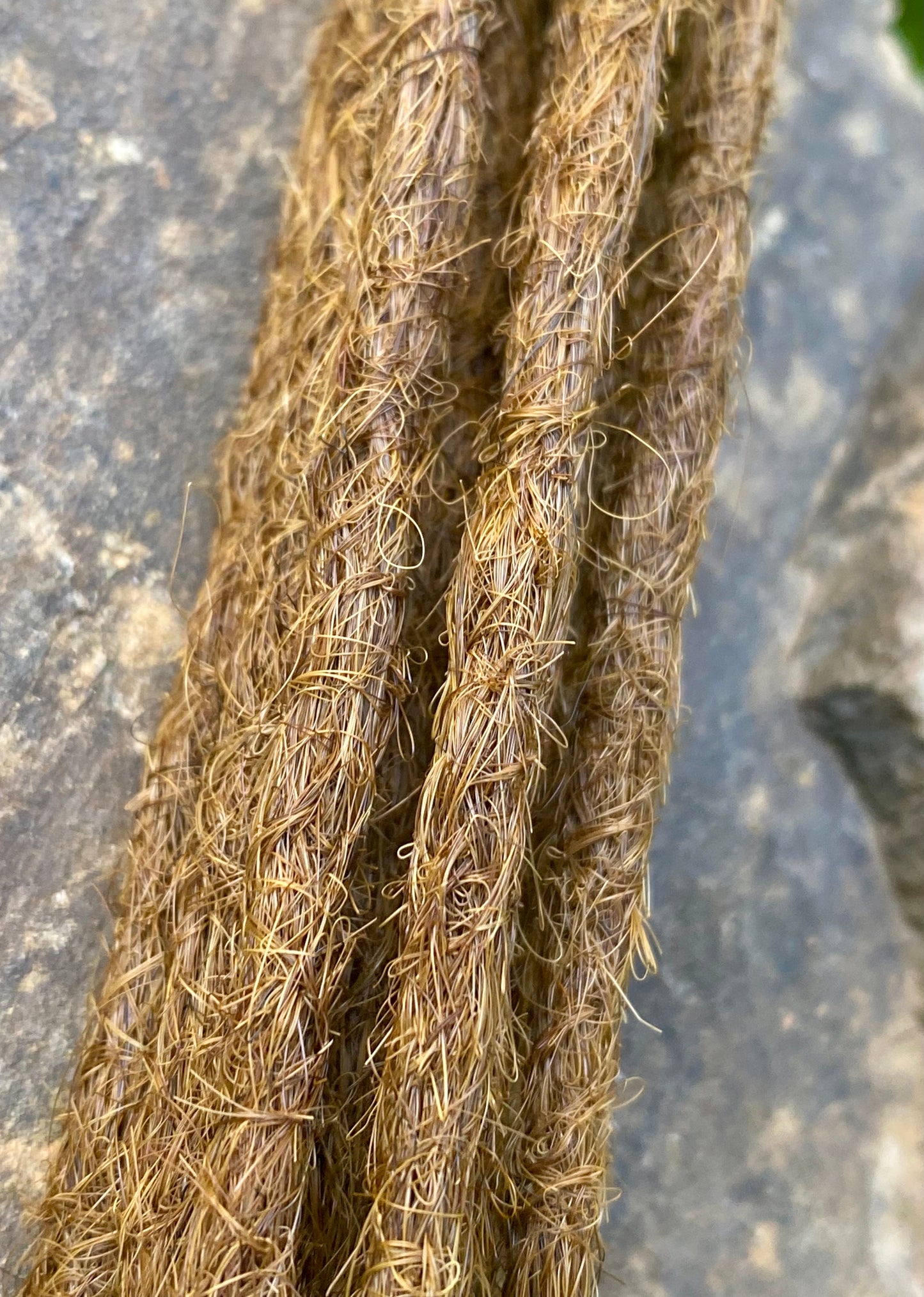 10 Europäische Echthaar Dreadlocks in Goldbraun - DreadLocos Shop