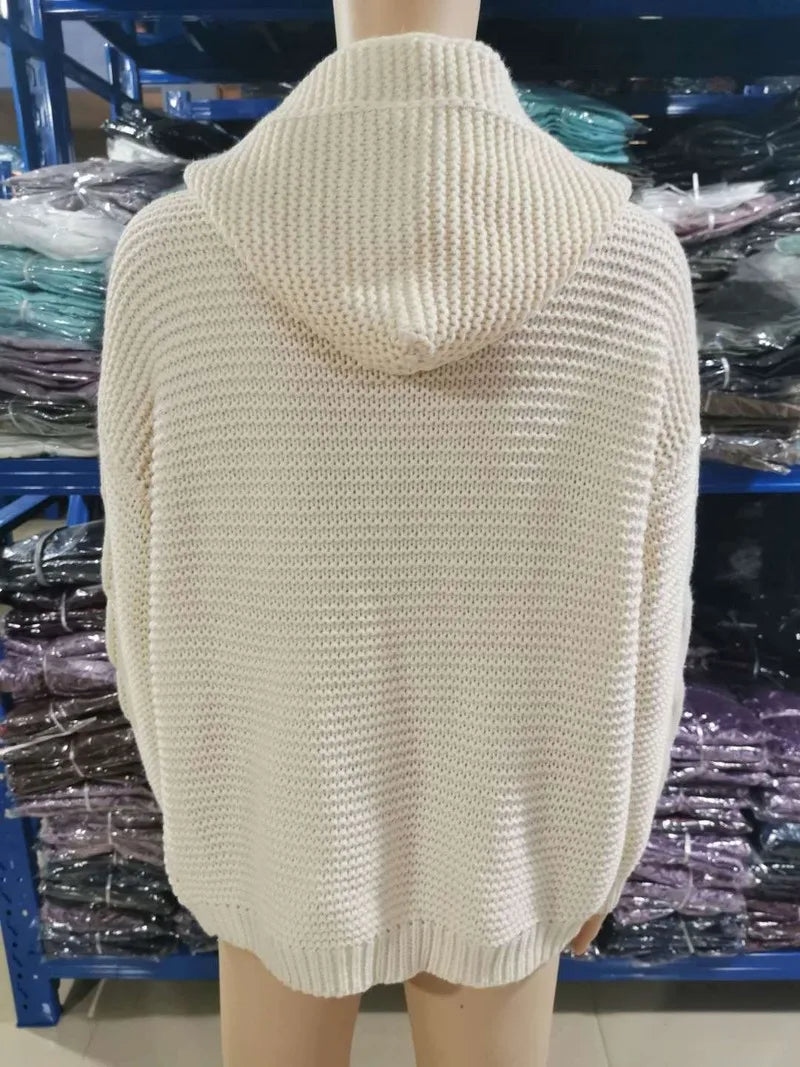 Casual Winter e Hooded Sweaters