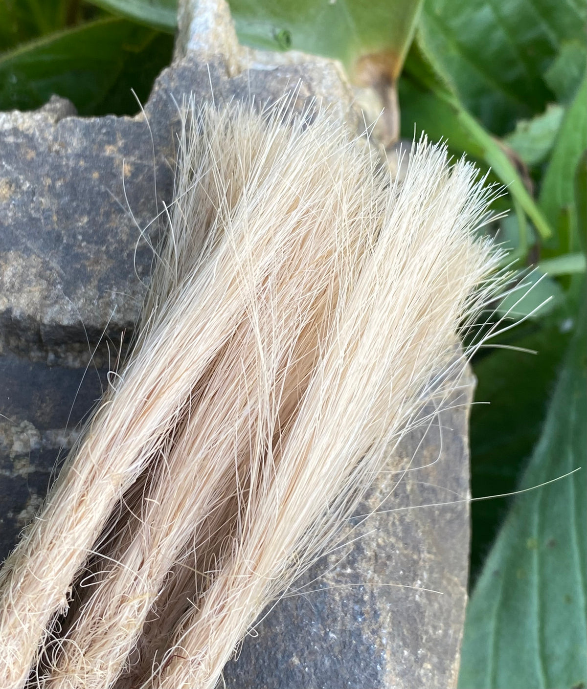10 European human hair dreadlocks in blonde 9/ A