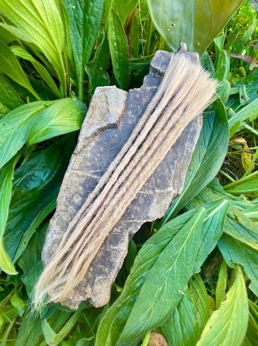 10 Europäische Echthaar Dreadlocks Blond 9/A