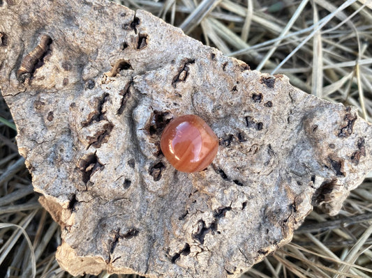 Nakimani Perle Brown Agate