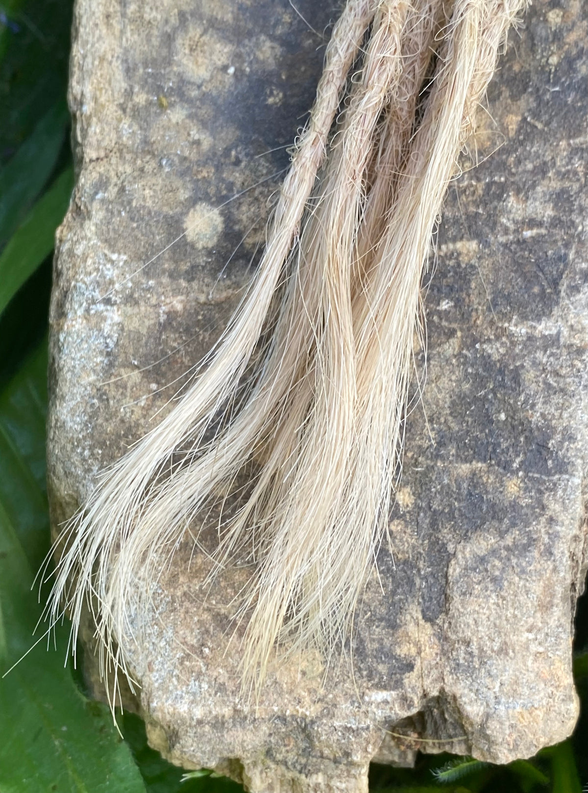 10 European human hair dreadlocks in blonde 9/ A