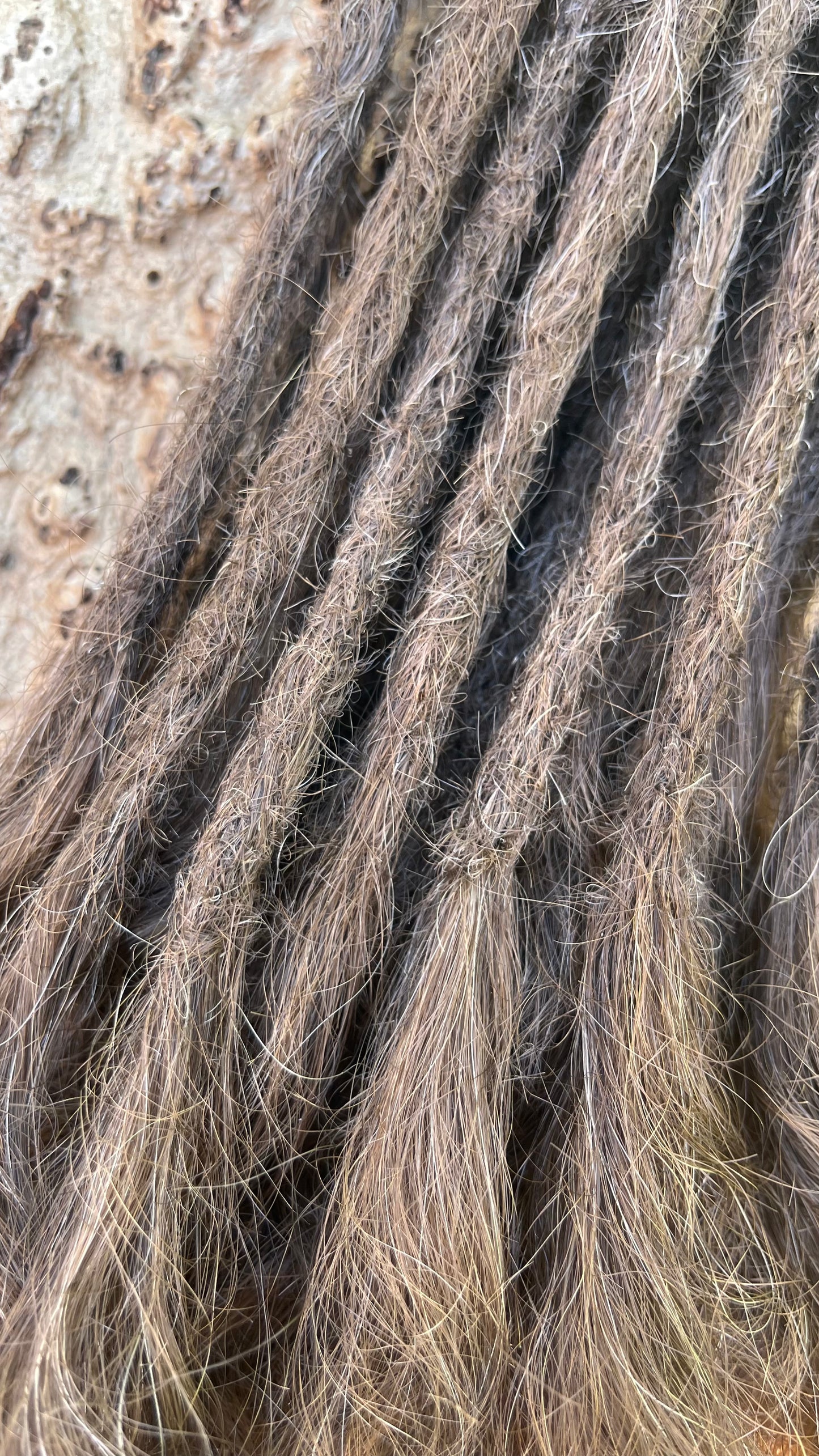 20 Europäische Echthaar Dreadlocks in Mittelbraun 5/C mit gelockten Spitzen