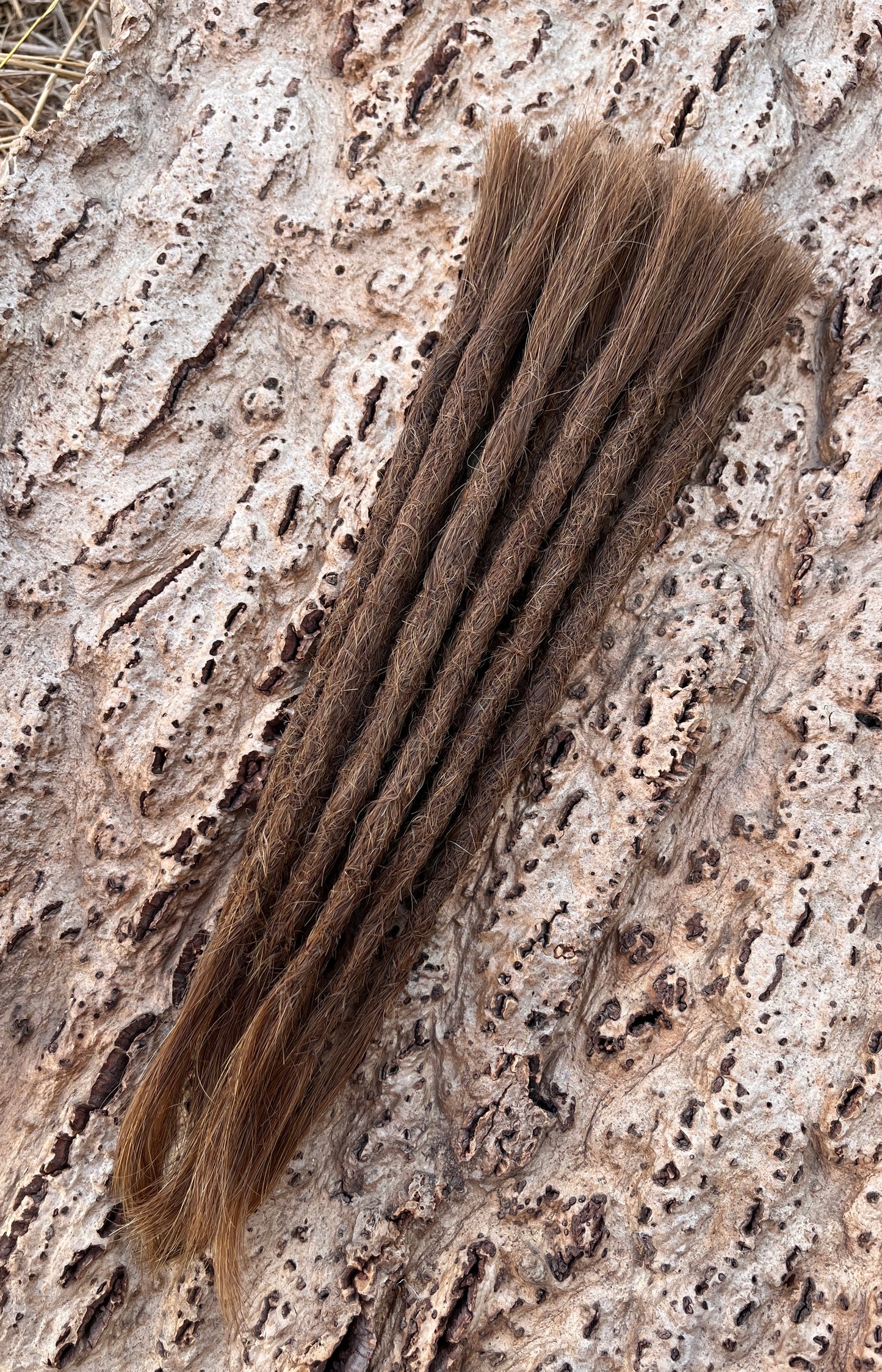 10 Europäische Echthaar Dreadlocks in Hellbraun 6/E