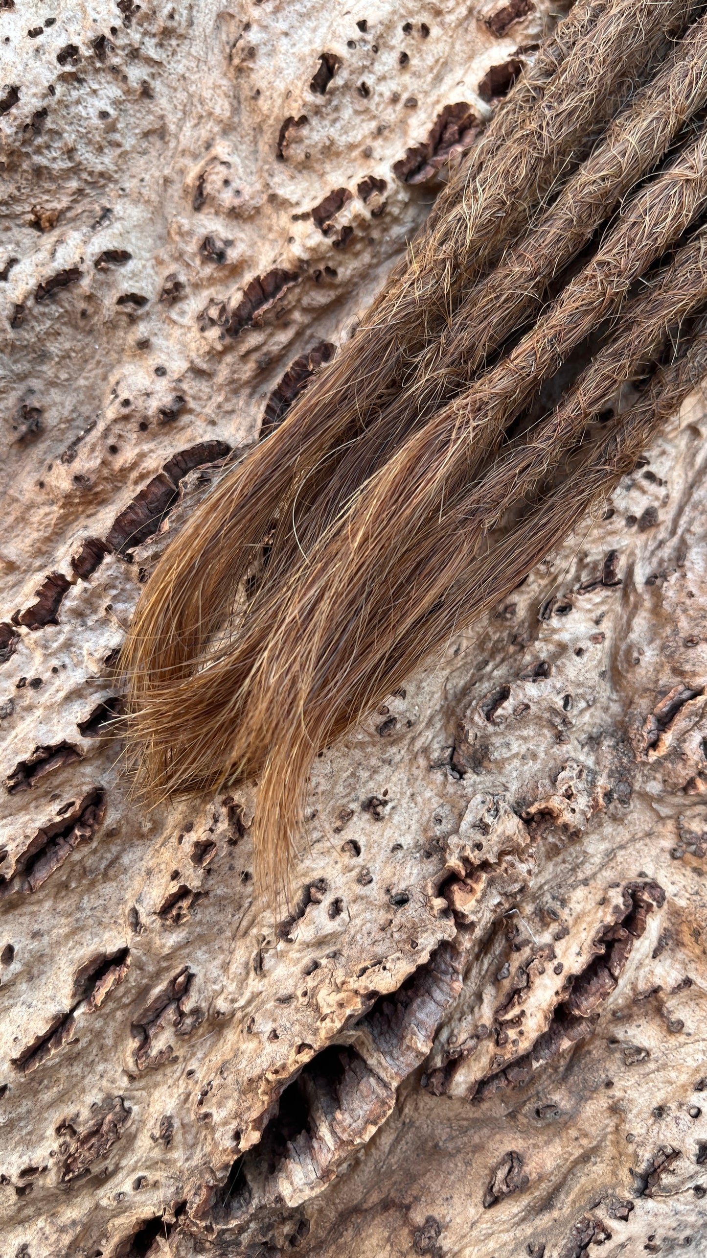 10 Europäische Echthaar Dreadlocks in Hellbraun 6/E