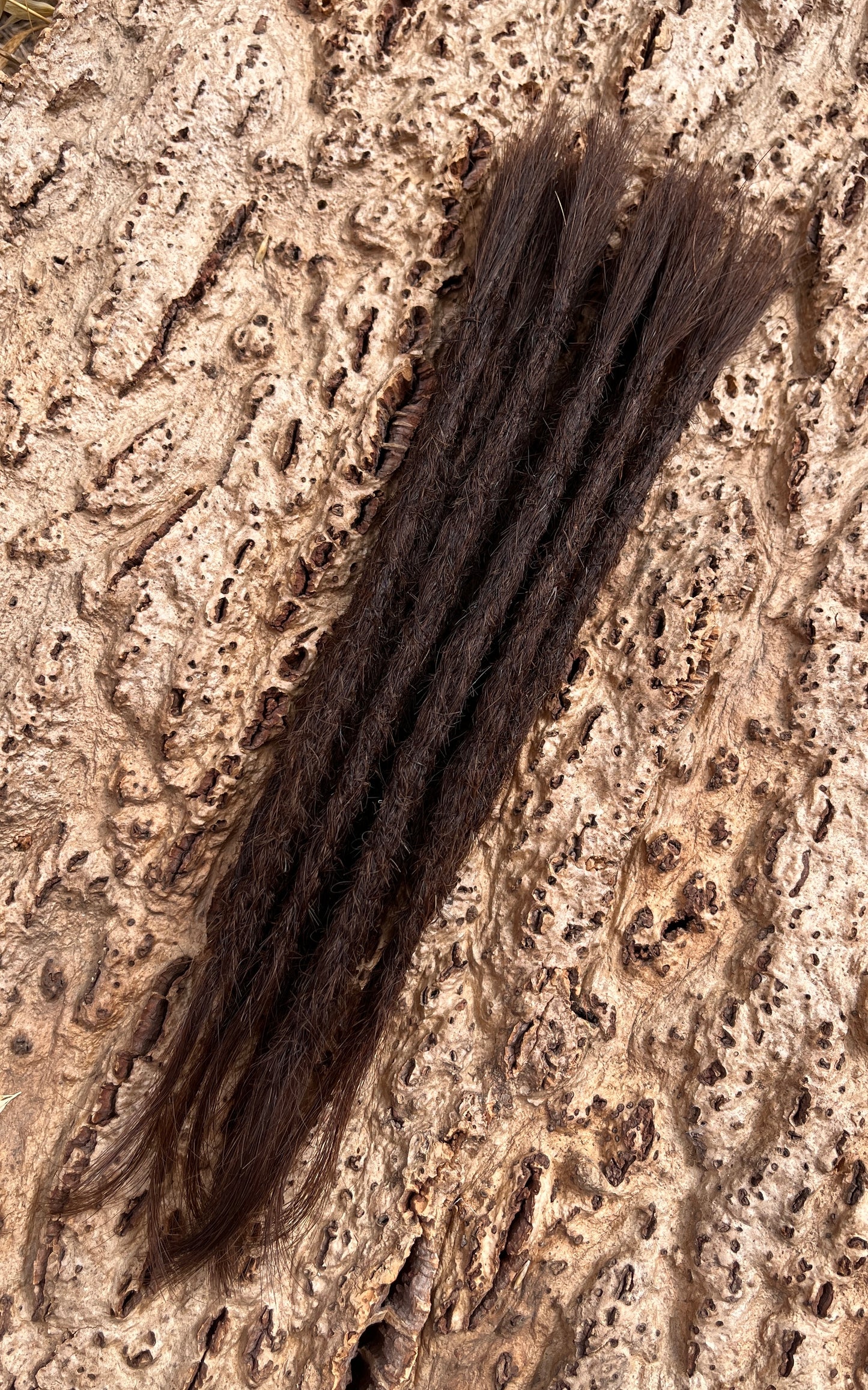 10 Europäische Echthaar Dreadlocks in Hellbraun 5/C