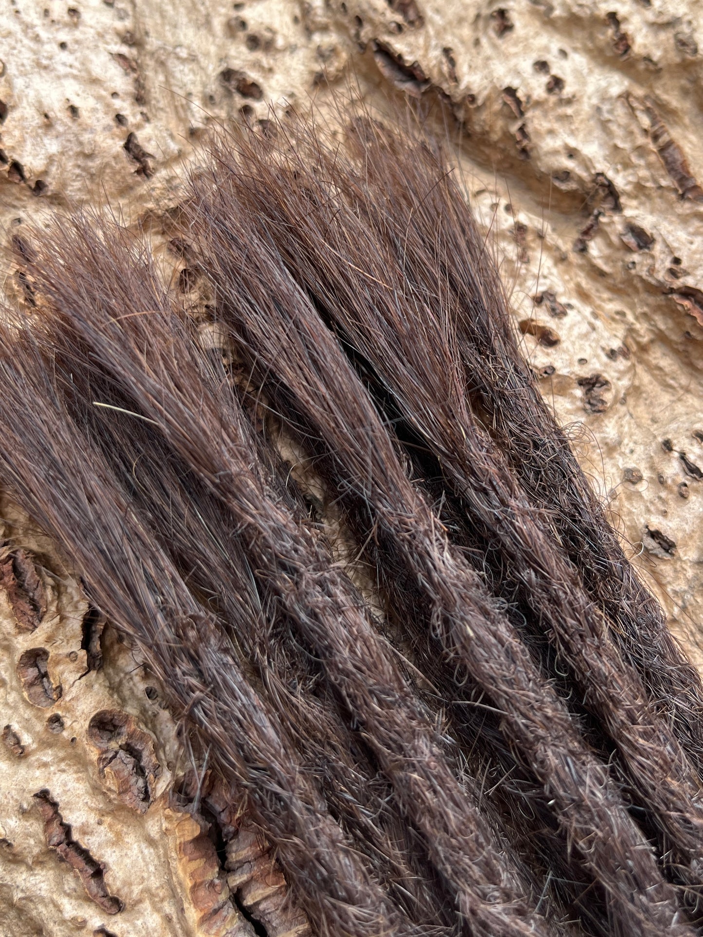 10 Europäische Echthaar Dreadlocks in Hellbraun 5/C