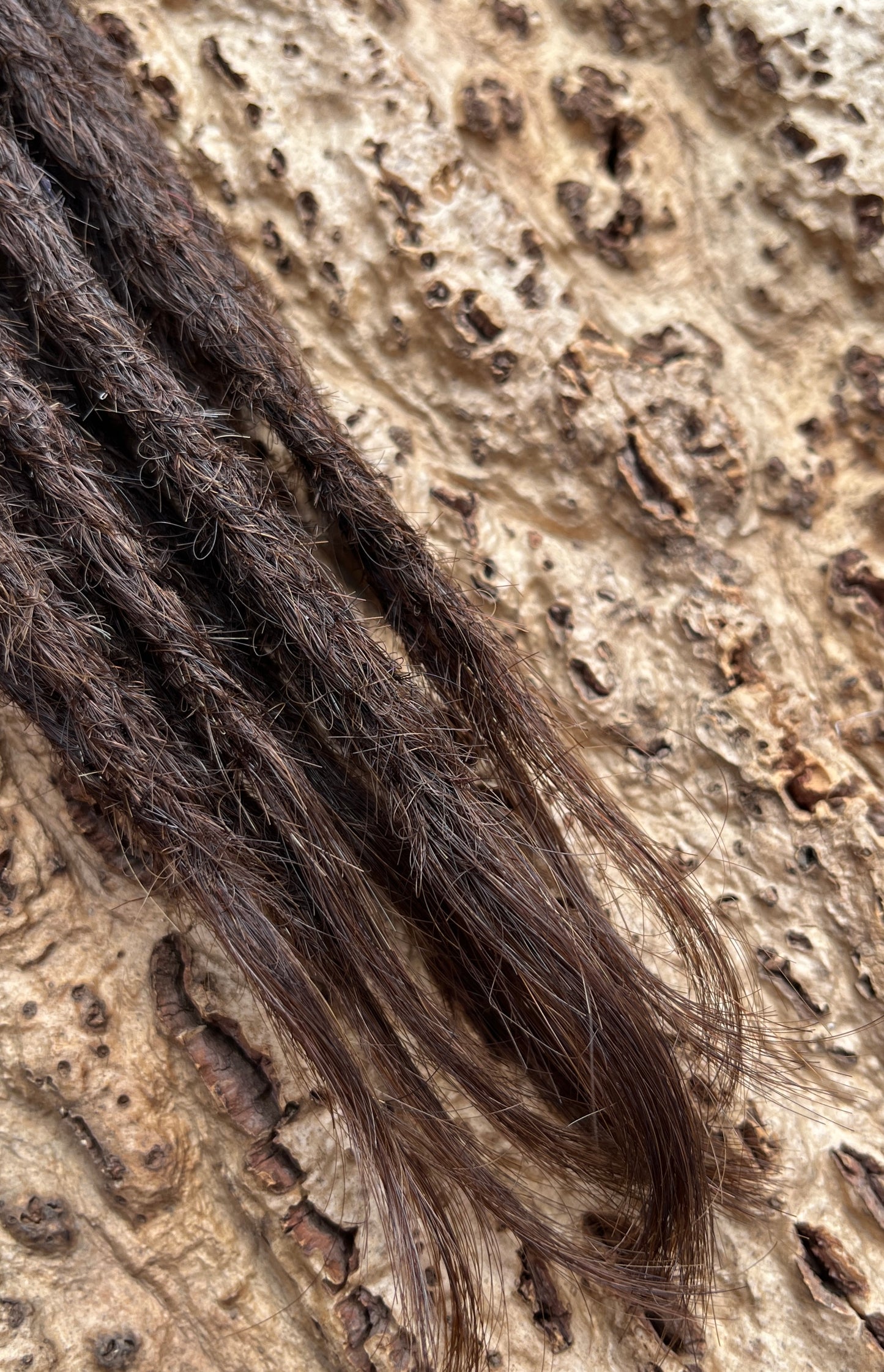 10 Europäische Echthaar Dreadlocks in Hellbraun 5/C