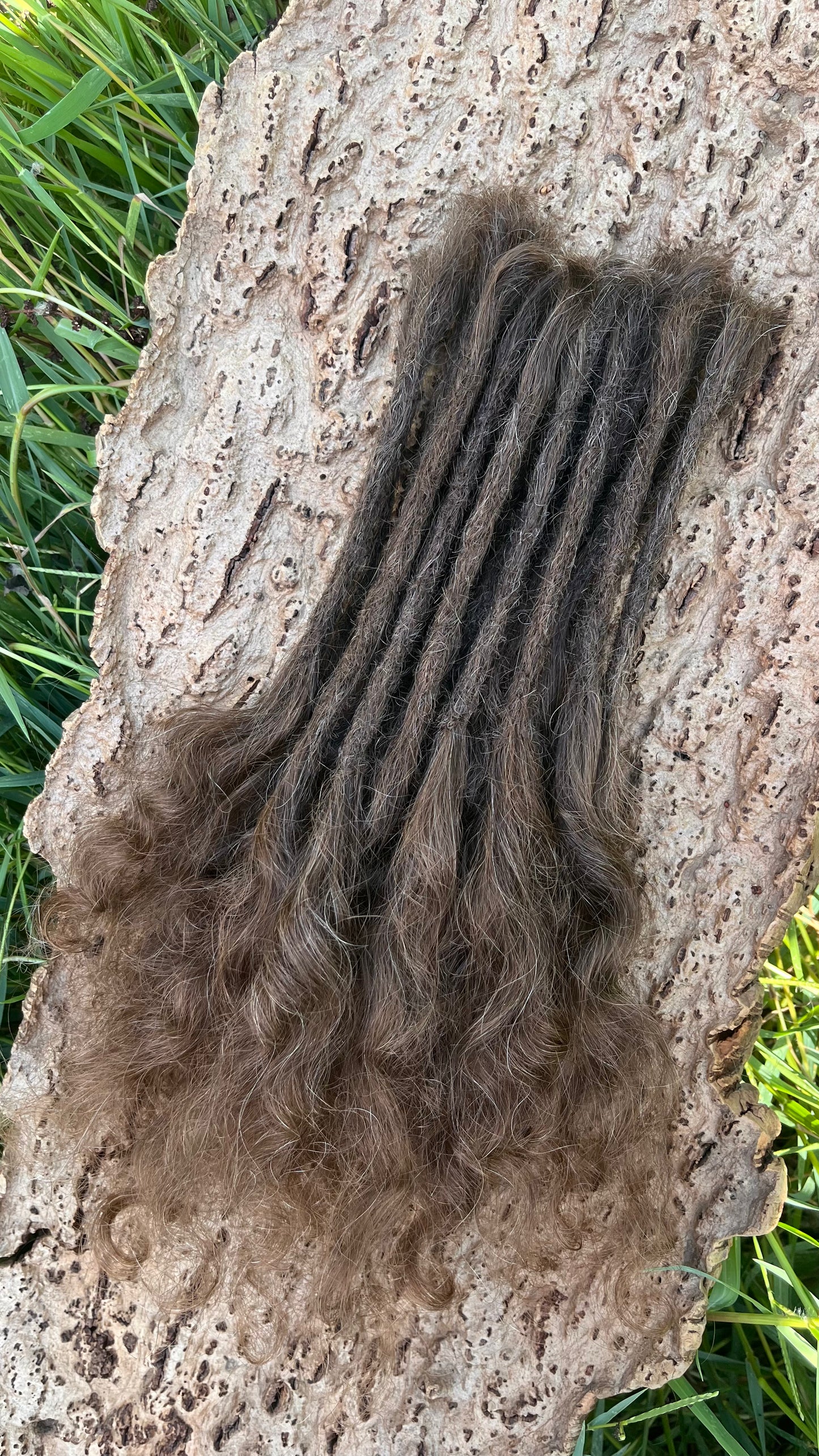 20 Europäische Echthaar Dreadlocks in Mittelbraun 5/C mit gelockten Spitzen