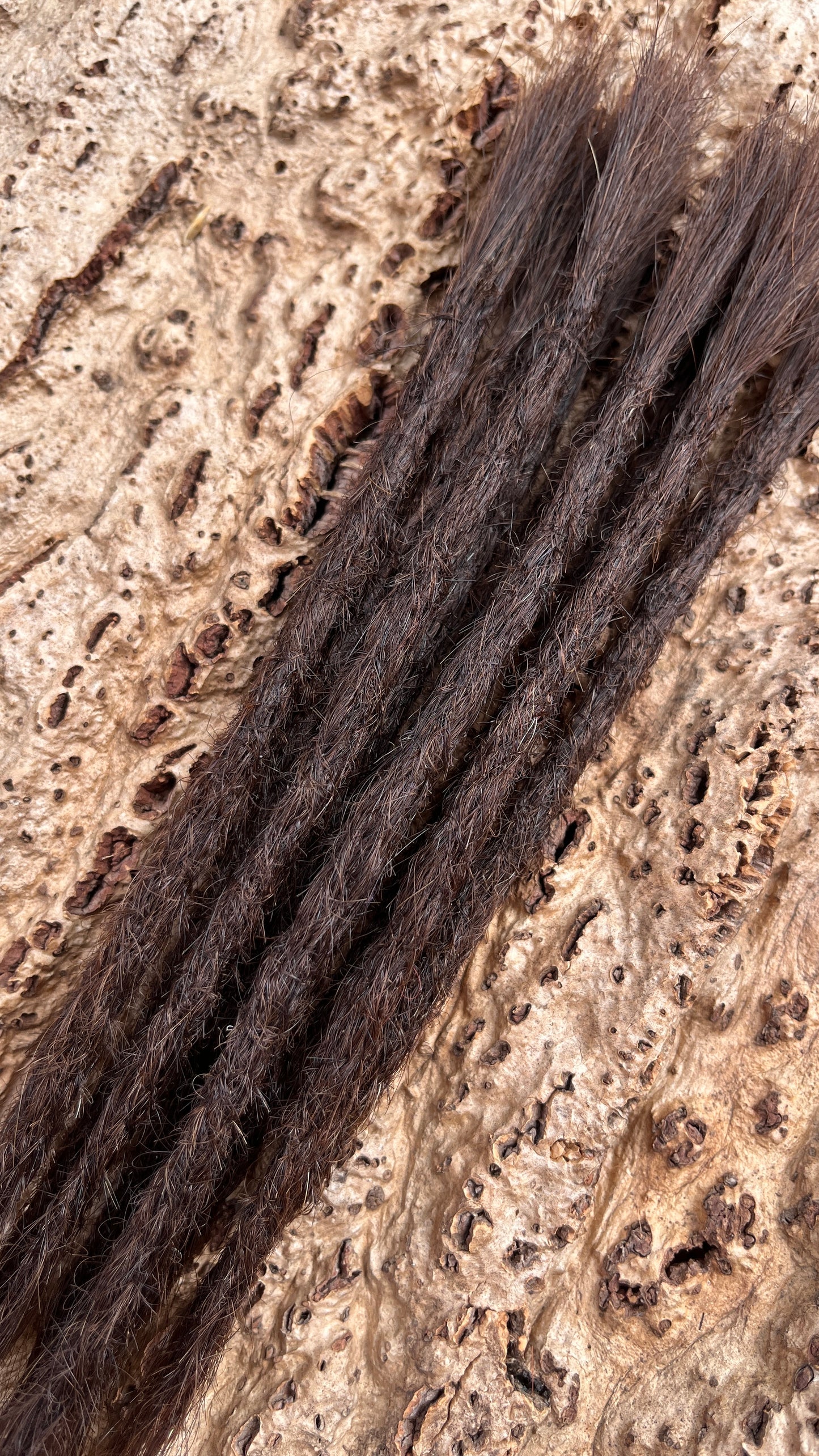 10 Europäische Echthaar Dreadlocks in Hellbraun 5/C