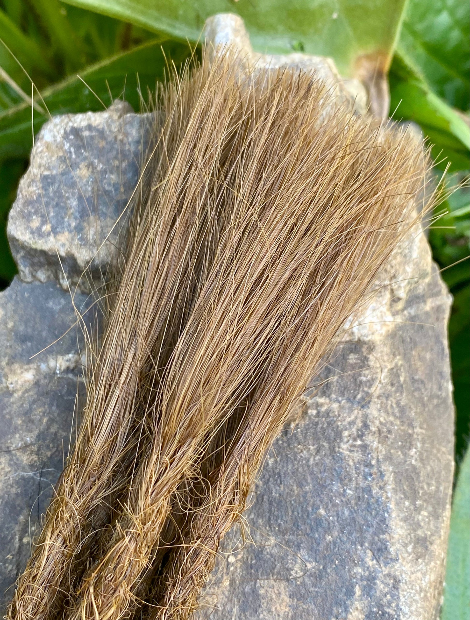 10 Europäische Echthaar Dreadlocks in Goldbraun - DreadLocos Shop
