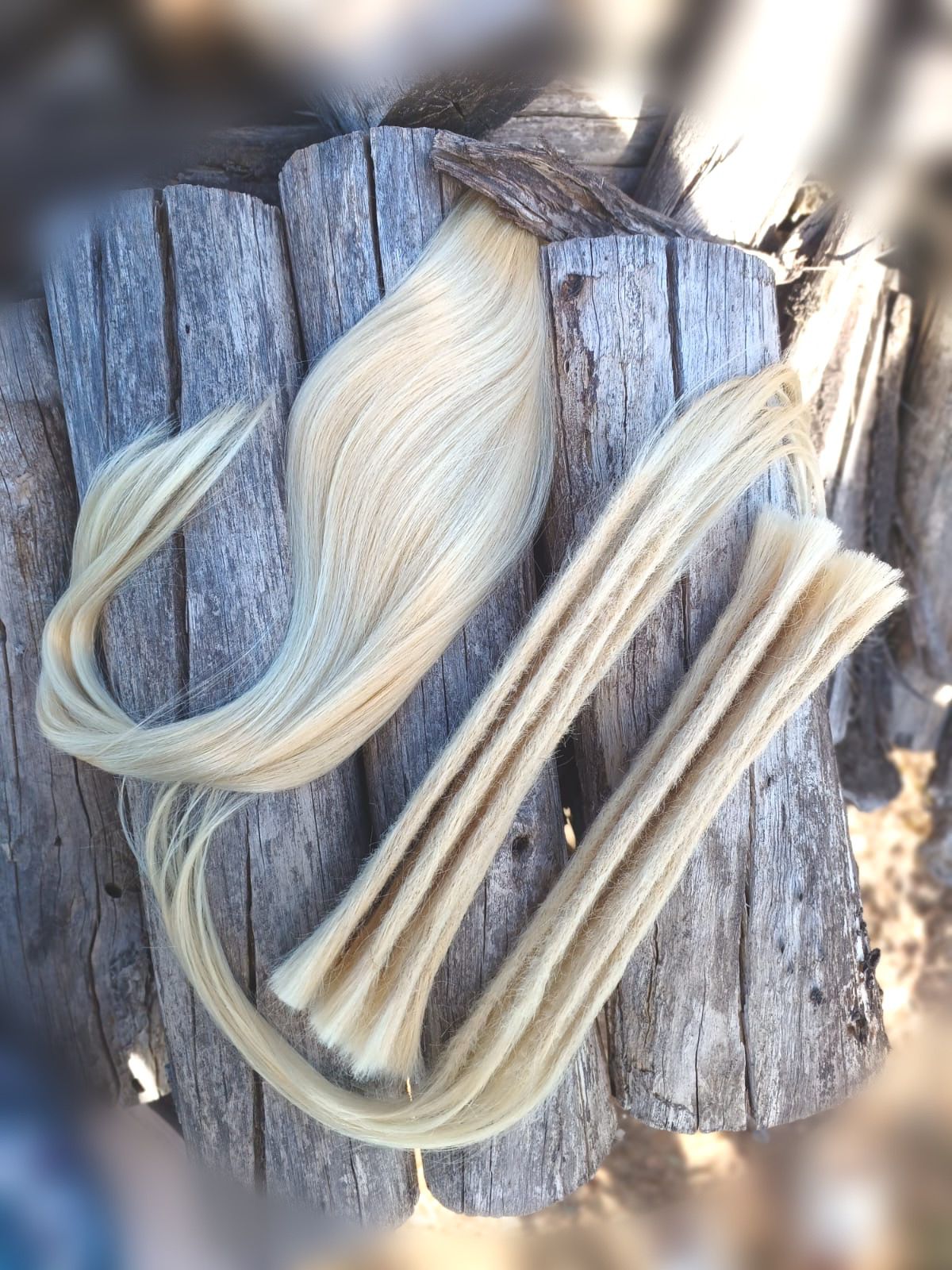 10 Echthaar Dreadlocks in Platinblond #70