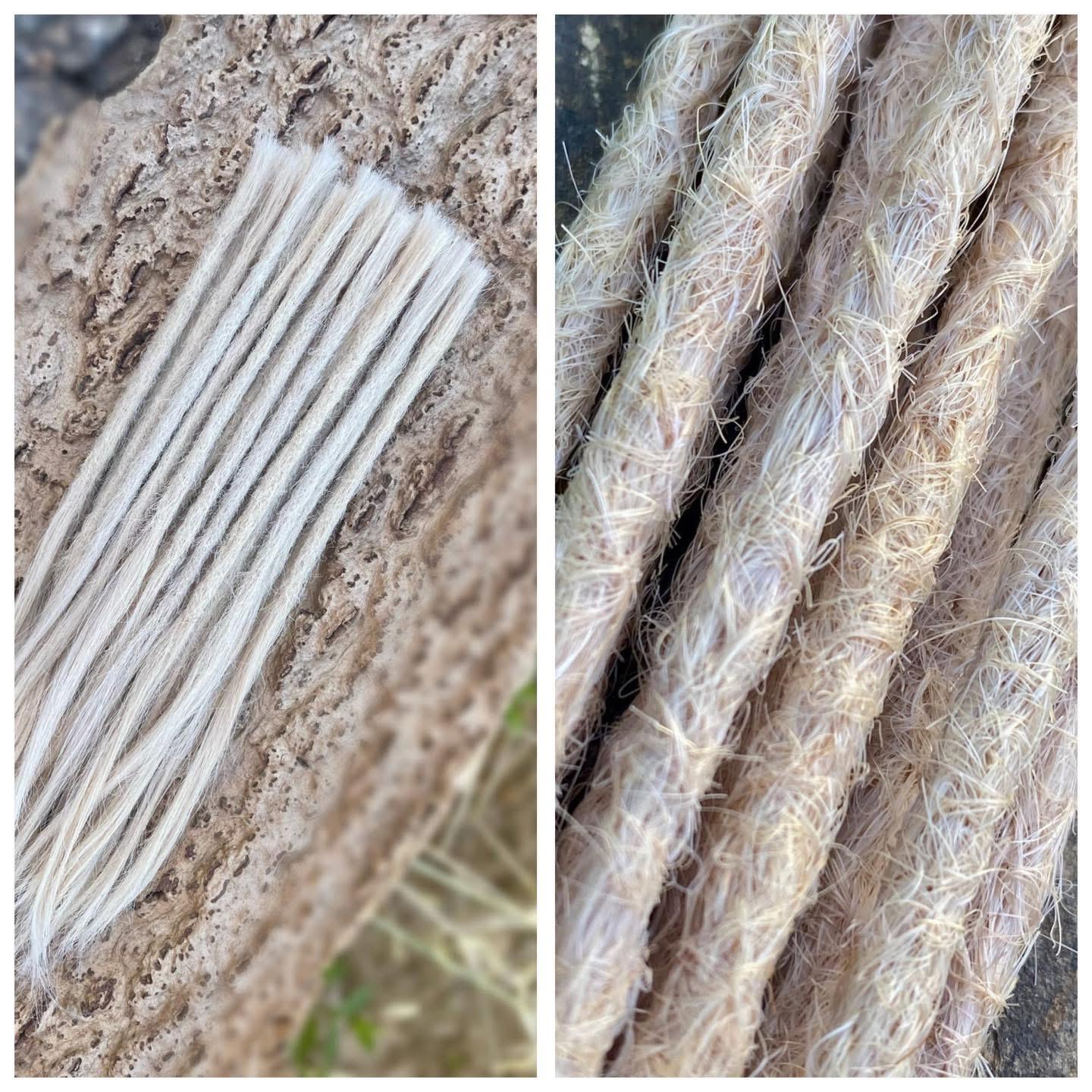 10 Europäische Echthaar Dreadlocks in Platinblond - DreadLocos Shop